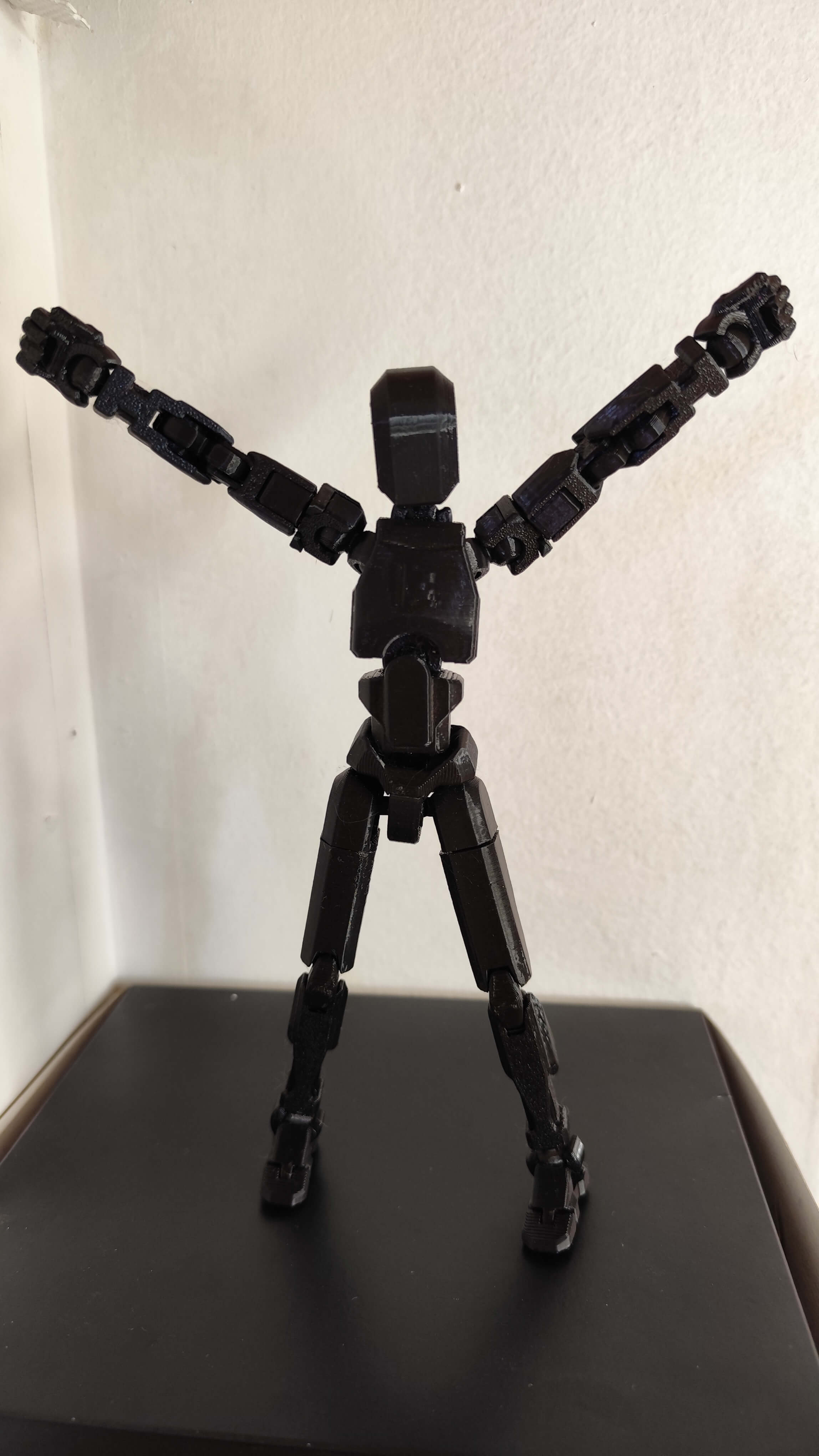 imagen de una impresion en 3D de brr Jueguete Dummy